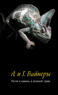 Книга Петля и камень в зеленой траве