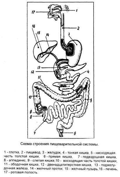 Способ жизни в Эру Водолея - image2.jpg