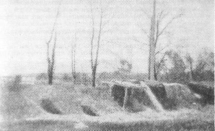 Красная книга ВЧК. В двух томах. Том 1 - i_008.jpg