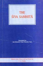 Тело йоги. Истоки современой постуральной практики - image8.jpg