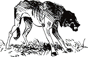 Карай - doc2fb_image_03000001.png