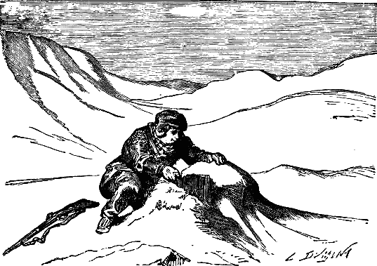 Путешествие и приключения капитана Гаттераса - i_070.png