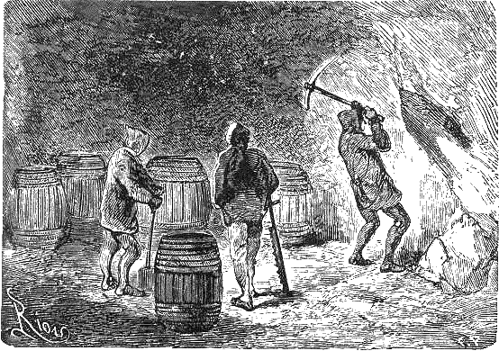 Путешествие и приключения капитана Гаттераса - i_183.png