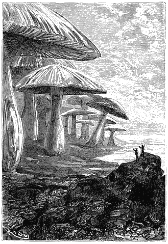 Путешествие к центру Земли - p149.png