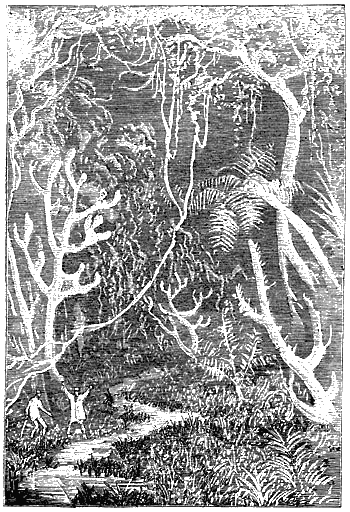 Путешествие к центру Земли - p197.png