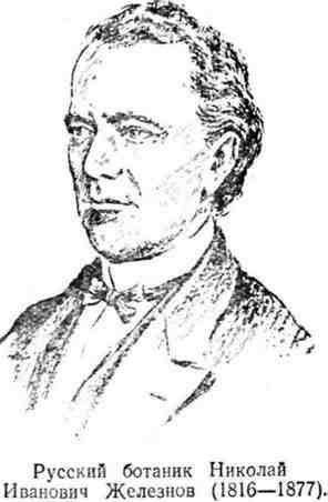 Путешествие с домашними растениями - pic_112.jpg