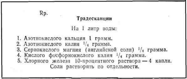 Путешествие с домашними растениями - pic_117.jpg