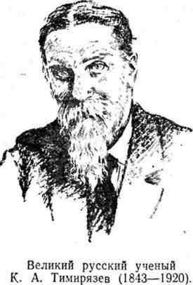 Путешествие с домашними растениями - pic_118.jpg