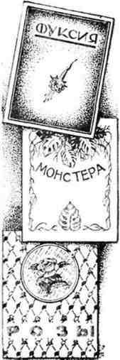 Путешествие с домашними растениями - pic_276.jpg