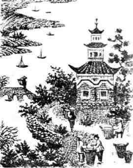 Путешествие с домашними растениями - pic_186.jpg