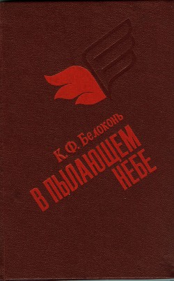 Книга В пылающем небе