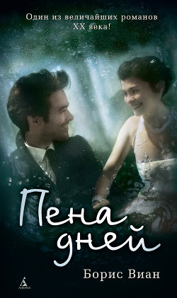 Книга Пена дней
