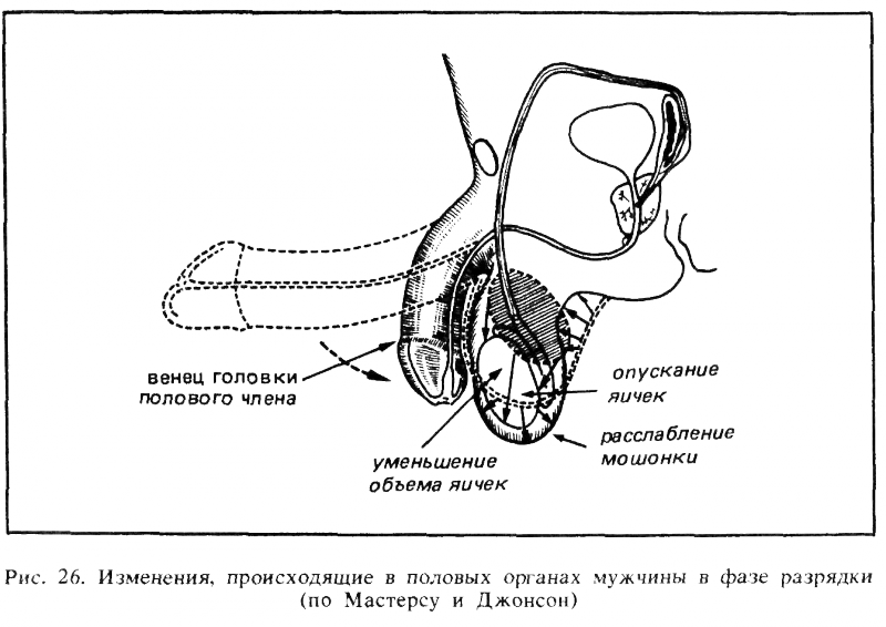 Искусство любви - _27.png