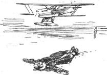 Полярный летчик - pic_33.jpg