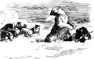 Полярный летчик - pic_49.jpg