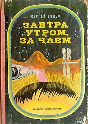 Книга Завтра утром, за чаем
