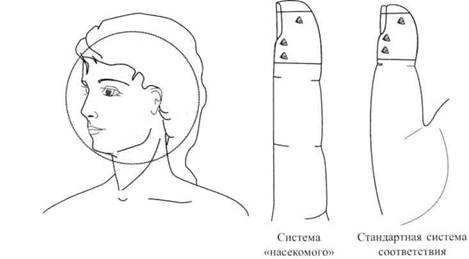 Су Джок семянотерапия - any2fbimgloader123.jpeg