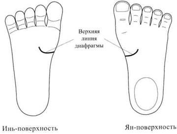 Су Джок семянотерапия - any2fbimgloader16.jpeg