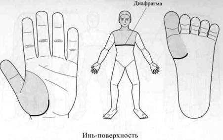 Су Джок семянотерапия - any2fbimgloader19.jpeg