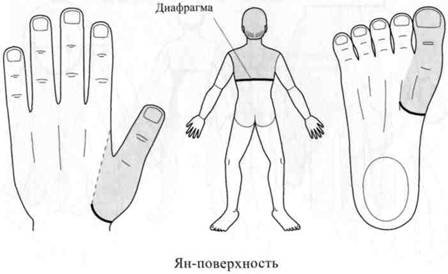 Су Джок семянотерапия - any2fbimgloader20.jpeg