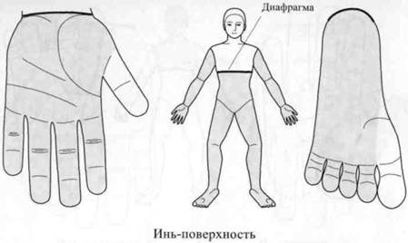 Су Джок семянотерапия - any2fbimgloader21.jpeg