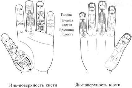 Су Джок семянотерапия - any2fbimgloader28.jpeg