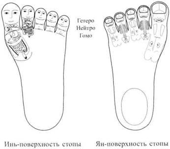 Су Джок семянотерапия - any2fbimgloader29.jpeg