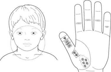 Су Джок семянотерапия - any2fbimgloader142.jpeg