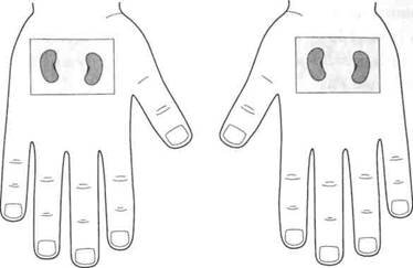 Су Джок семянотерапия - any2fbimgloader146.jpeg