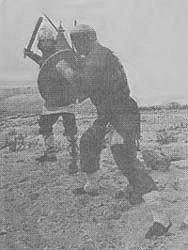 Славяно-горицкая борьба. Изначалие. - waffen.jpg