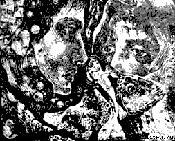 Феникс - any2fbimgloader0.jpg