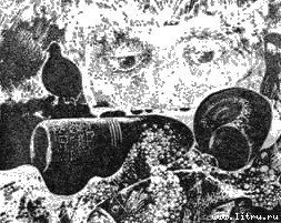 Феникс - any2fbimgloader1.jpg