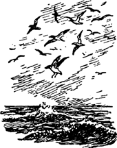 Руал Амундсен - image048.png