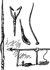 Руал Амундсен - image086.png