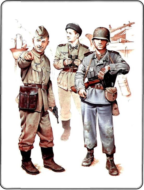 Иностранные добровольцы в вермахте. 1941-1945 - any2fbimgloader50.jpeg