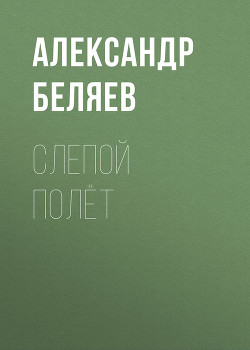 Книга Слепой полет