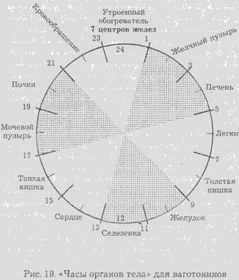 Сексуальная энергия. Ключ к здоровью и процветанию - any2fbimgloader16.png
