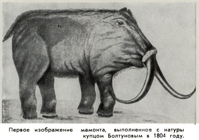 Владимир Ковалевский: трагедия нигилиста - kovale17.jpg