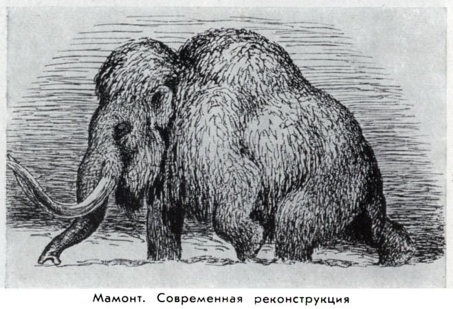 Владимир Ковалевский: трагедия нигилиста - kovale18.jpg