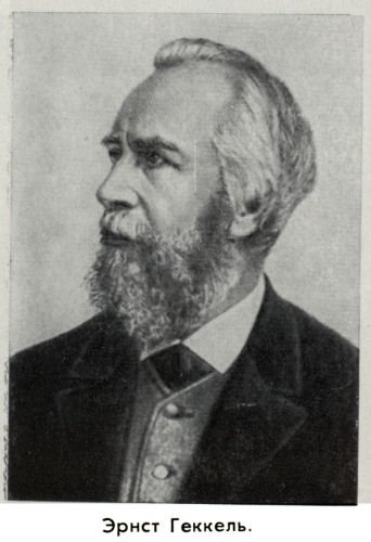 Владимир Ковалевский: трагедия нигилиста - kovale29.jpg