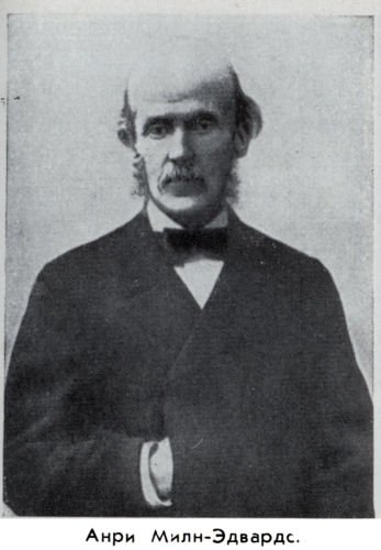 Владимир Ковалевский: трагедия нигилиста - kovale31.jpg