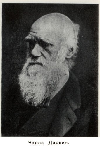 Владимир Ковалевский: трагедия нигилиста - kovale32.jpg