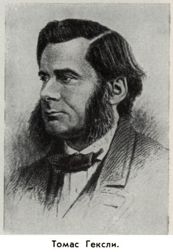 Владимир Ковалевский: трагедия нигилиста - kovale33.jpg