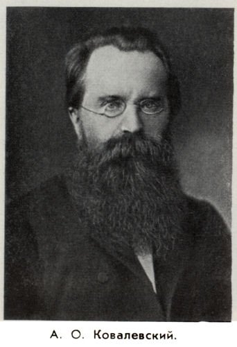 Владимир Ковалевский: трагедия нигилиста - kovale36.jpg