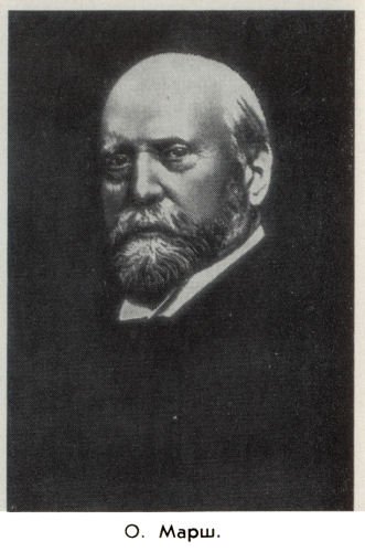 Владимир Ковалевский: трагедия нигилиста - kovale42.jpg