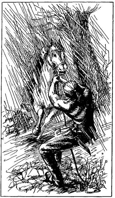 Фланкер - any2fbimgloader5.jpeg