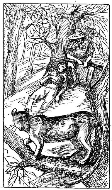 Фланкер - any2fbimgloader7.jpeg