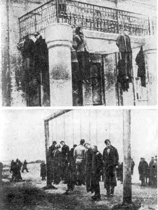 Обвиняет земля. Организация украинских националистов: документы и материалы - i_008.jpg