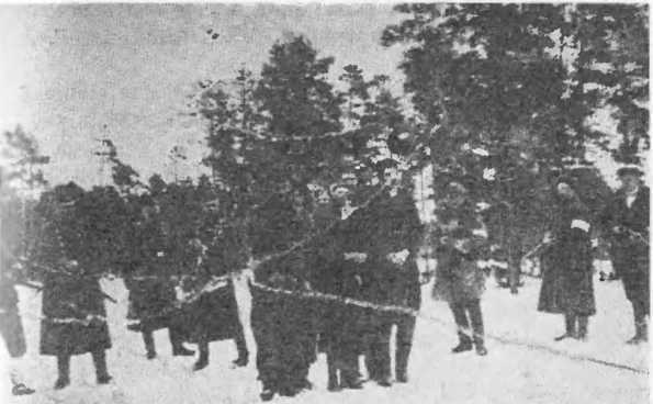 Обвиняет земля. Организация украинских националистов: документы и материалы - i_011.jpg