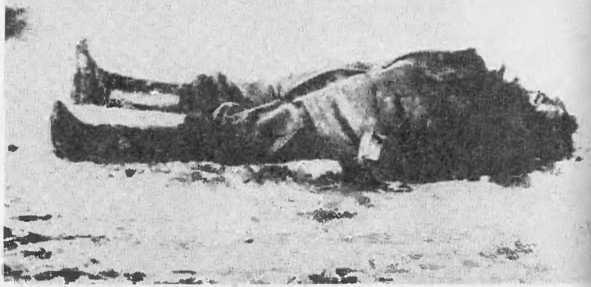 Обвиняет земля. Организация украинских националистов: документы и материалы - i_019.jpg